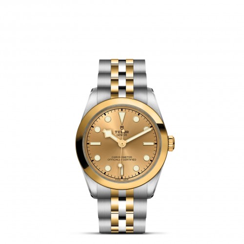 TUDOR Black Bay 31 S&G Watch - M79603-0005 at Liljenquist & Beckstead