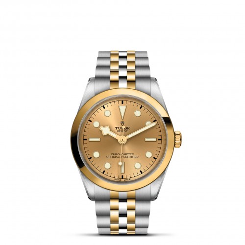TUDOR Black Bay 36 S&G Watch - M79643-0005 at Liljenquist & Beckstead
