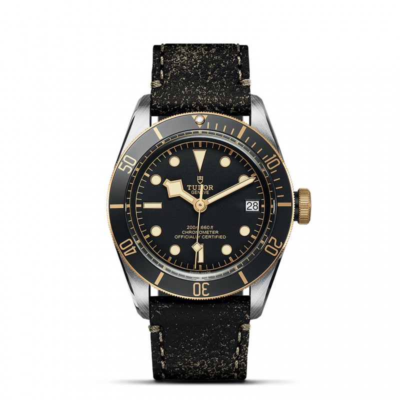 TUDOR Black Bay Watch - M79733N-0007 at Liljenquist & Beckstead