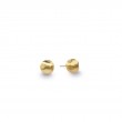 Africa 18K Yellow Gold Small Stud Earrings