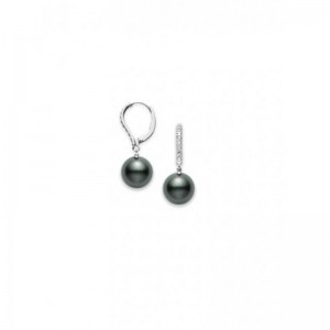 Black South Cultured Pearl Classic Elegance Sea Lever Back Earrings