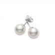 Akoya Cultured Pearl Stud Earrings 7-7.5mm AAA