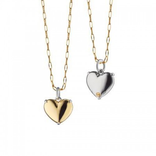 Heart of Gold Two-Tone Charm Necklace