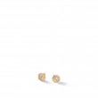 Africa Constellation 18K Yellow Gold and Diamond Small Stud Earrings