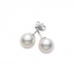 Akoya Cultured Pearl Stud Earrings 8-8.5mm A