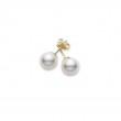Akoya Cultured Pearl Stud Earrings 7.5-8mm AAA
